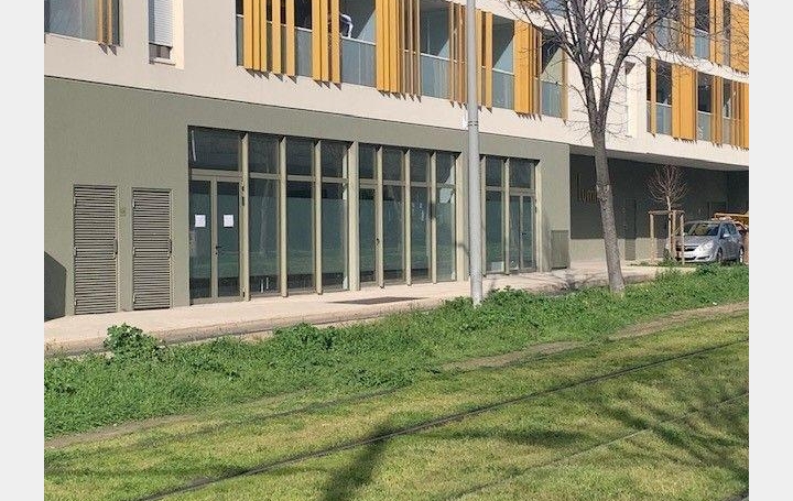  Annonces LANGUEDOC Office | CASTELNAU-LE-LEZ (34170) | 18 m2 | 500 € 