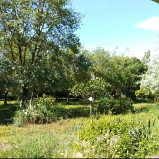  Annonces LANGUEDOC : Domain / Estate | MAUGUIO (34130) | 500 m2 | 1 514 000 € 