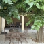  Annonces LANGUEDOC : Domaines / Propriétés | VILLEVEYRAC (34560) | 230 m2 | 735 000 € 