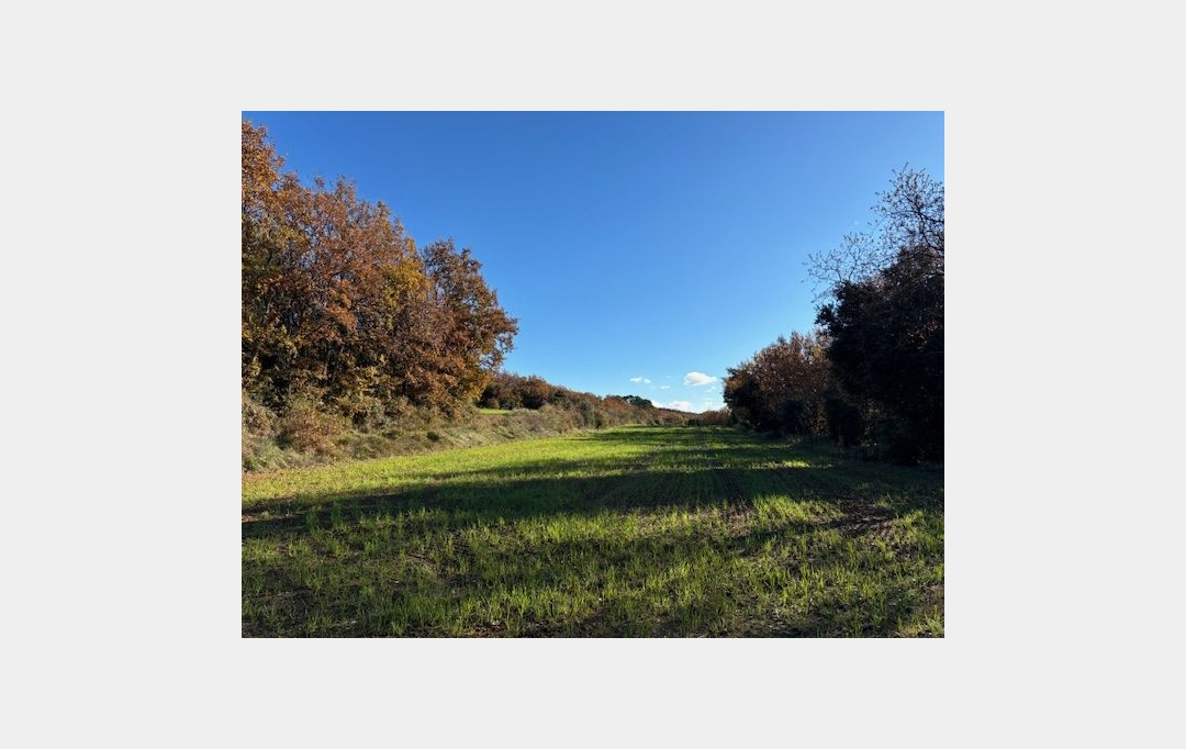 Annonces LANGUEDOC : Terrain | UZES (30700) | 0 m2 | 57 000 € 