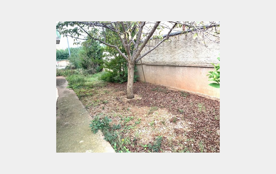 Annonces LANGUEDOC : Ground | FRONTIGNAN (34110) | 0 m2 | 160 000 € 