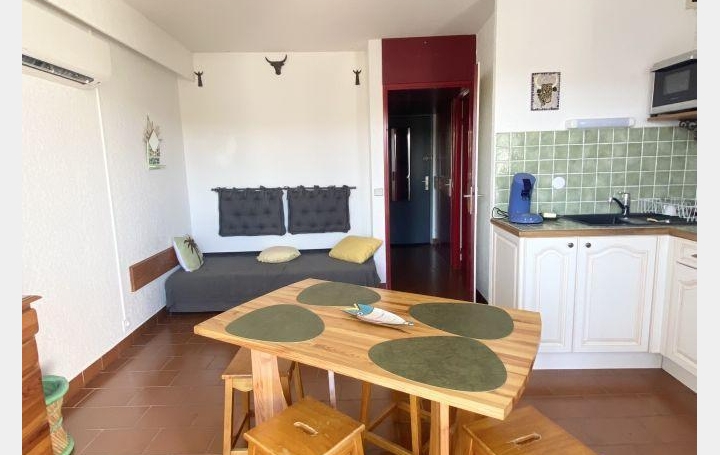  Annonces LANGUEDOC Appartement | LE GRAU-DU-ROI (30240) | 24 m2 | 550 € 